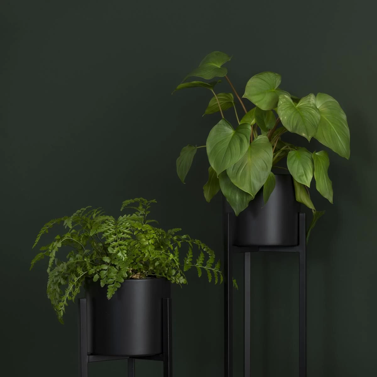 QUVIO Plantenstandaard Inclusief Pot - 22x22x75 Cm - Zwart - M - Afbeelding 7