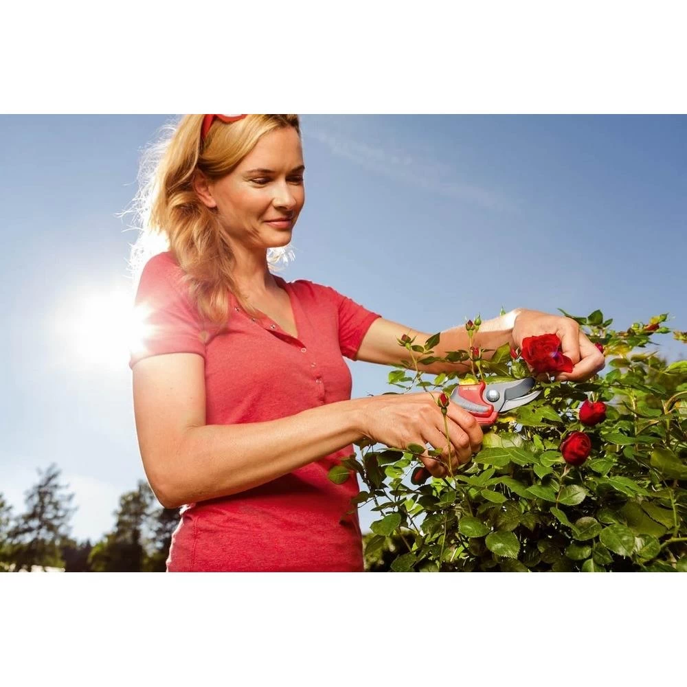 Wolf-Garten Premium Plus RR4000 Snoeischaar - Afbeelding 6