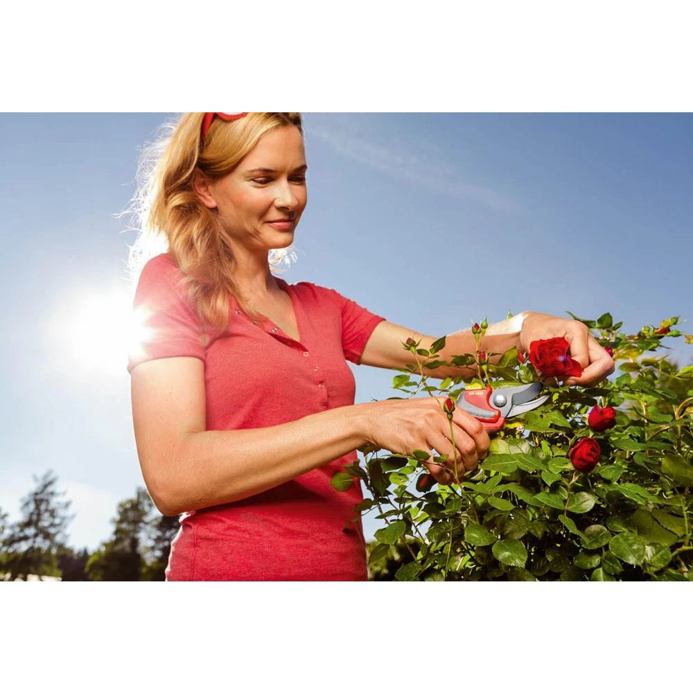 Wolf-Garten Premium Plus RR4000 Snoeischaar - Afbeelding 10