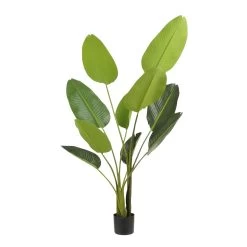 Mica Decorations Strelitzia Kunstplant - H150 X Ø25 Cm - Groen