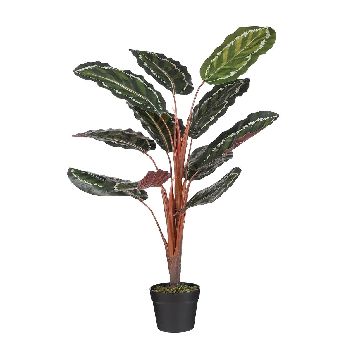 Mica Decorations Calathea Roseopicta Kunstplant - H90 X Ø60 Cm - Groen