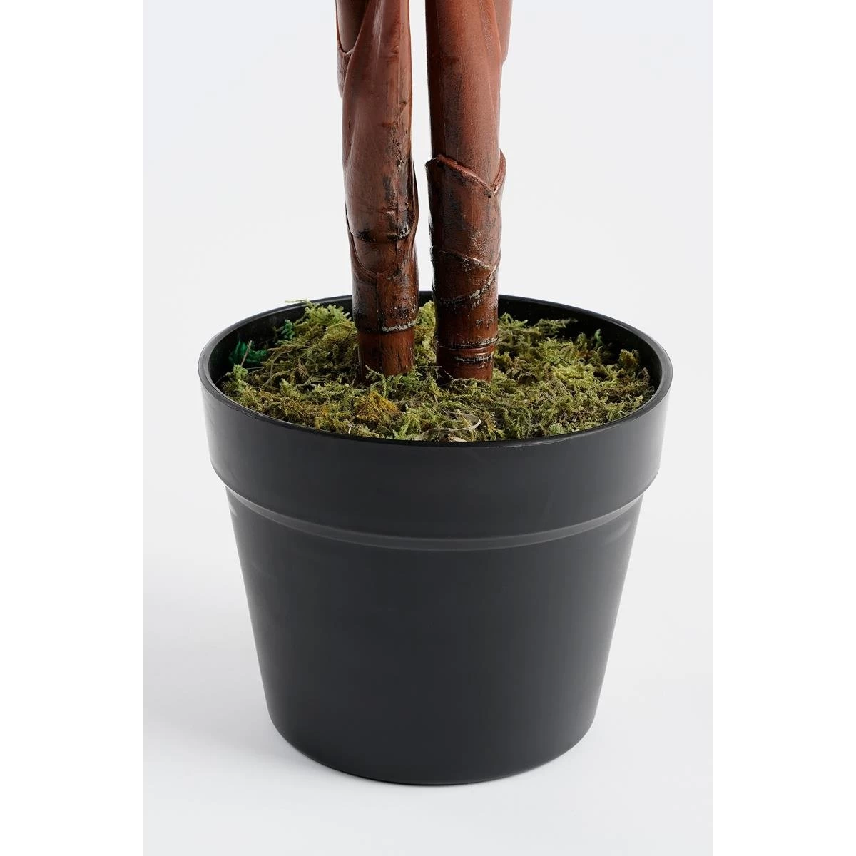 Mica Decorations Calathea Roseopicta Kunstplant - H90 X Ø60 Cm - Groen - Afbeelding 4