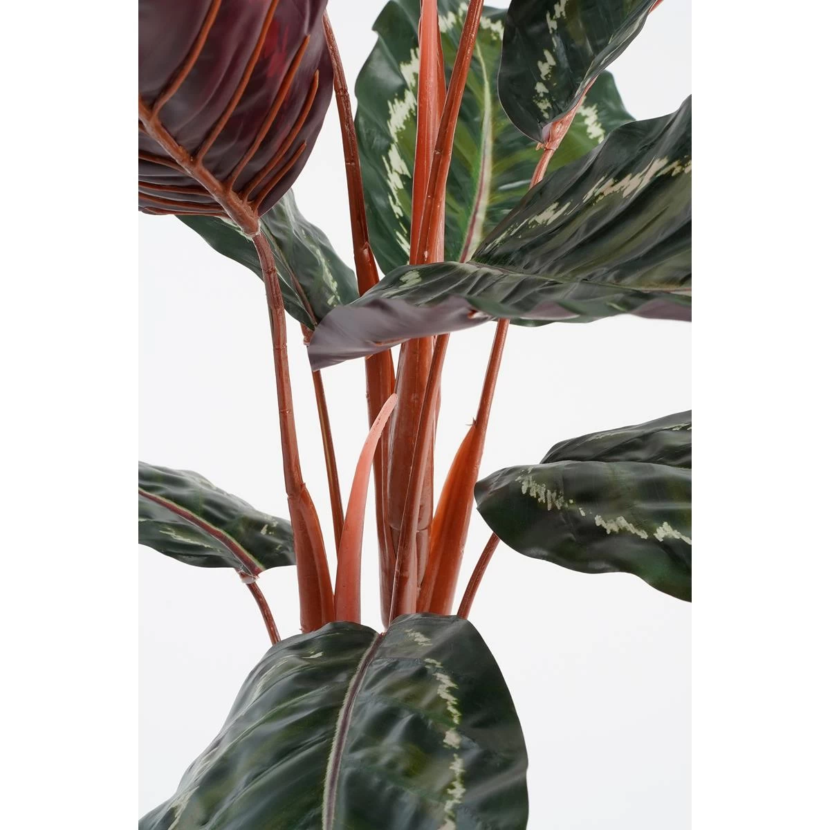 Mica Decorations Calathea Roseopicta Kunstplant - H90 X Ø60 Cm - Groen - Afbeelding 3