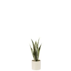 J-Line Plant Sansevieria In Pot Pvc Groen Small