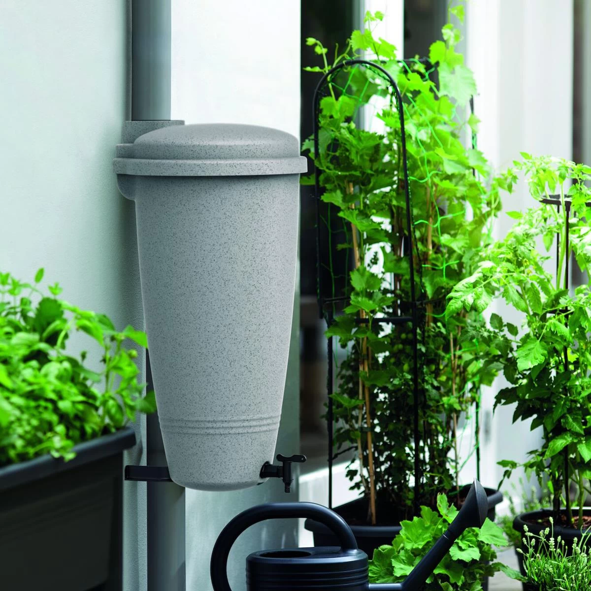 Elho Green Basics Regenton 35 L - Zilver - Afbeelding 2