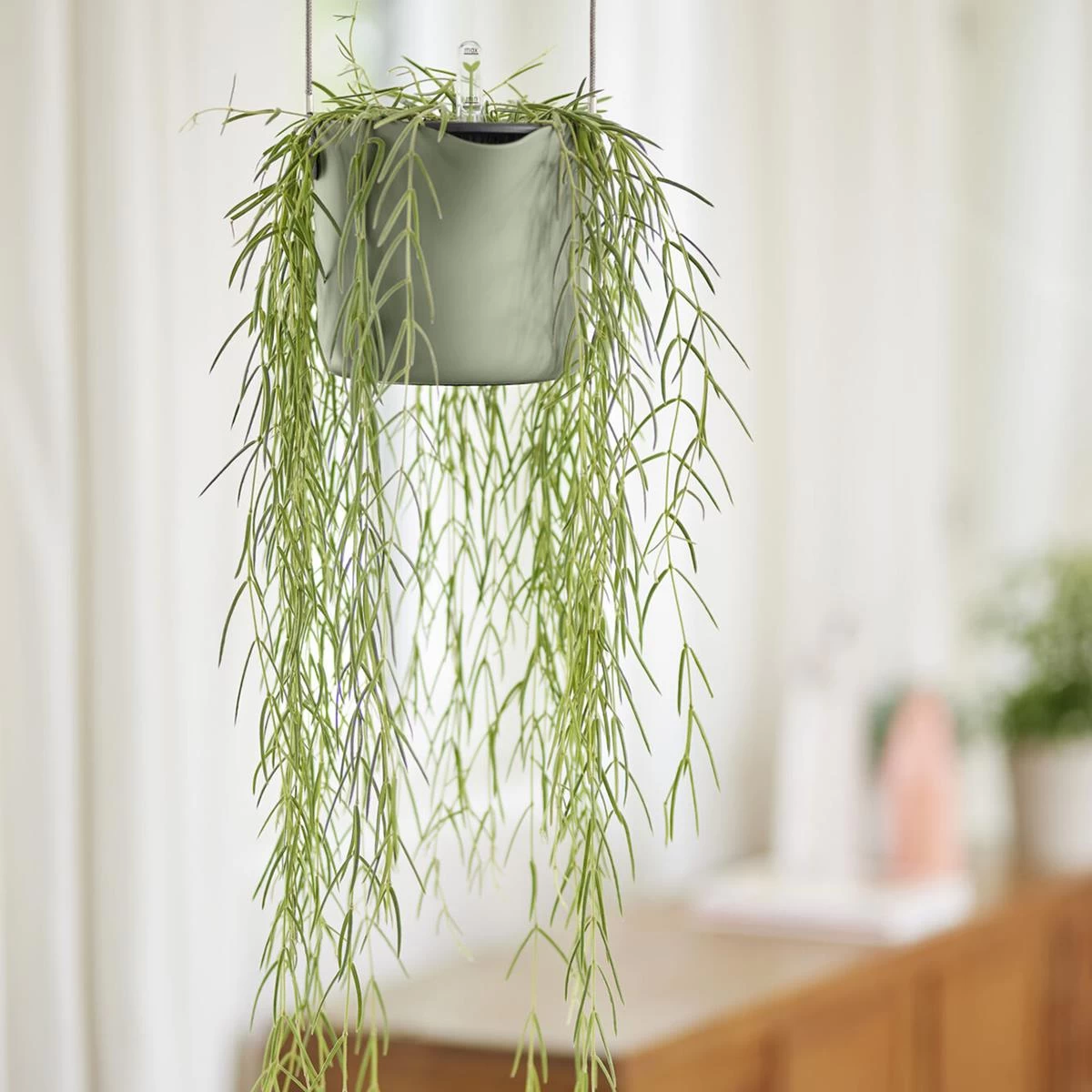 Elho B.for Swing Bloempot Ø 18 Cm - Lichtgroen - Afbeelding 2