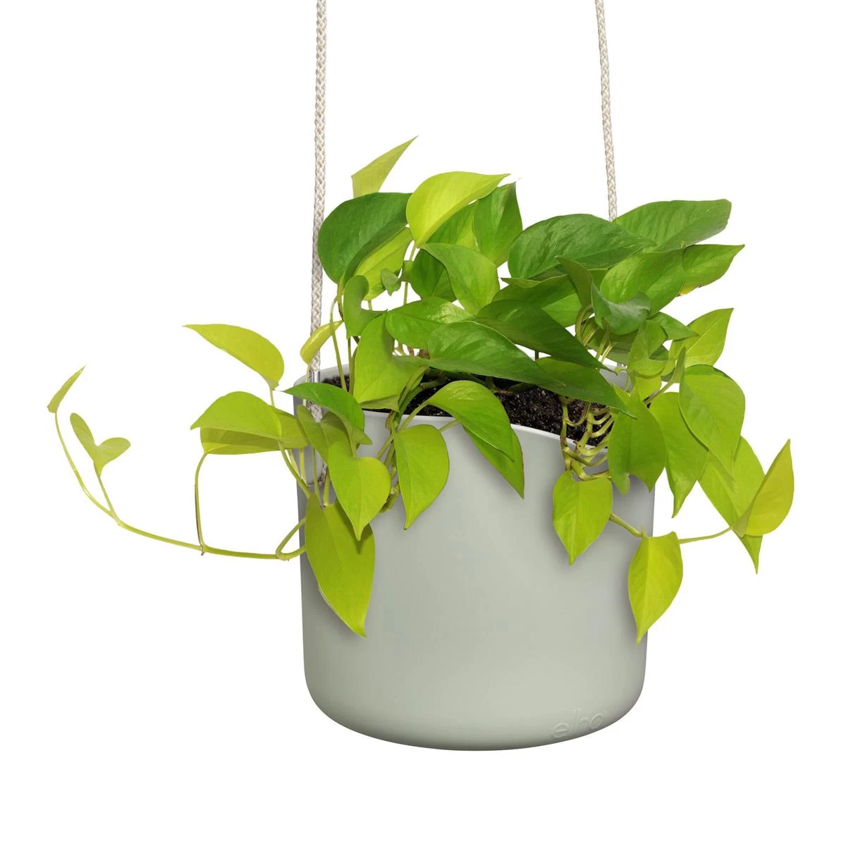 Elho B.for Swing Bloempot Ø 18 Cm - Lichtgroen - Afbeelding 6