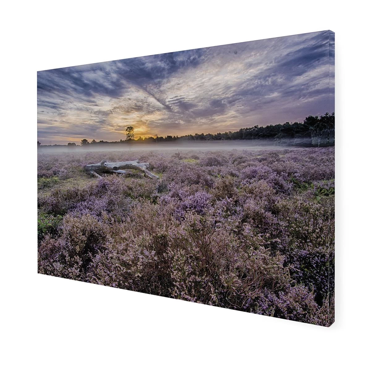 Art For The Home | Lavendelveld - Buitencanvas - 50x70 Cm - Afbeelding 3