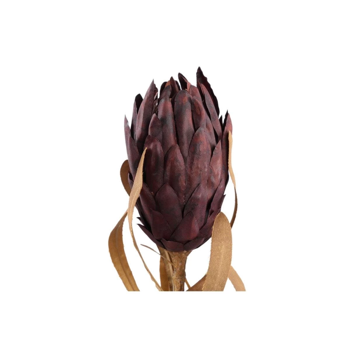 PTMD Queen Portea Kunstplant - 25x12x63 Cm - Kunststof - Donkerbruin