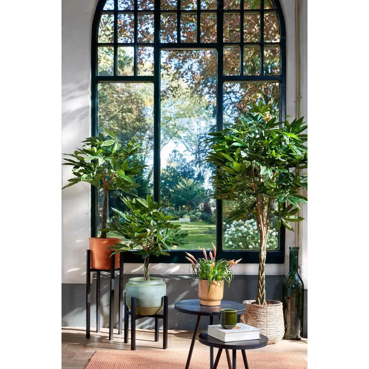 Mica Decorations Pachira Kunstplant - 65x65x150 Cm - Polyester - Groen - Afbeelding 2