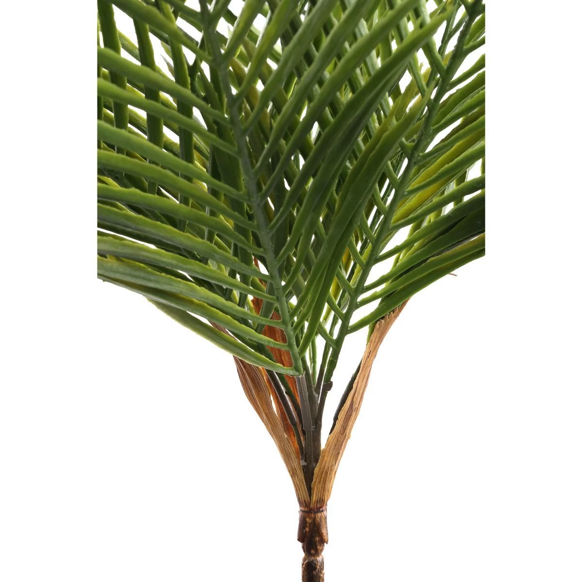 PTMD Palm Bos Kunsttak - 40 X 48 X 50 Cm - Kunststof - Groen