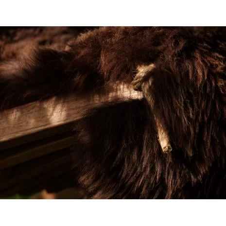 Chill-Dept. - Coats Island - Lounge Schapenvacht IJslander Cloud White - Afbeelding 6