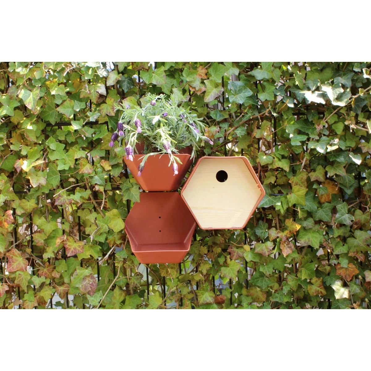 Capi Europe Waterbak Hive Antraciet - Afbeelding 5