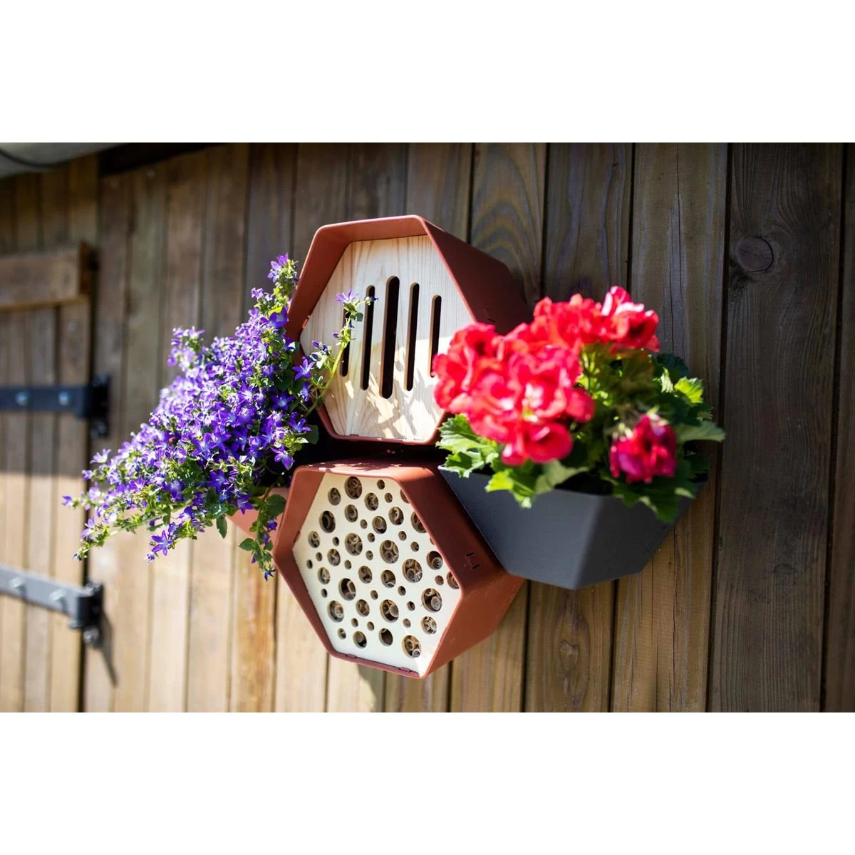 Capi Europe Waterbak Hive Antraciet - Afbeelding 6