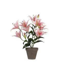 Mica Decorations Tijgerlelie Kunstplant - H47 Cm - Roze