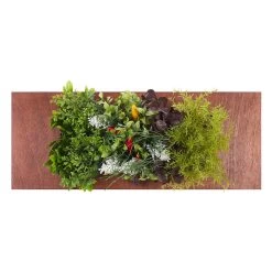 Beliani-OSMIA- Decoratie Met Kunstplant-Groen -Synthetisch Materiaal